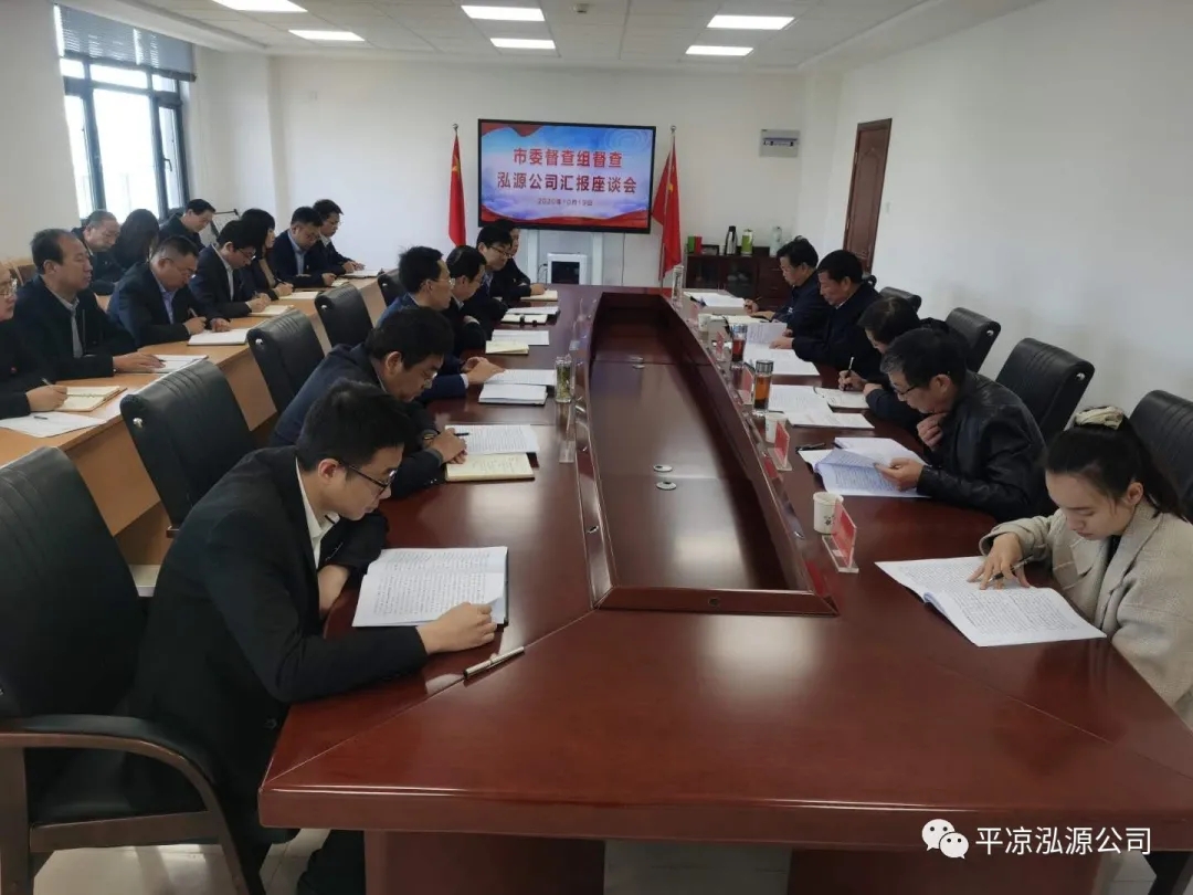 市委辦公室、市政府國資委督查泓源公司工作(圖4)